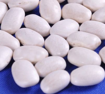 White Kidney Bean Extract 